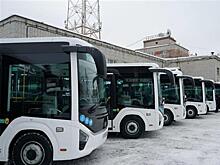 Более 300 новых автобусов прибыли в Самару