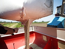 Россия поставила рекордный с 2022 года объем удобрений в ЕС