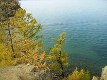 Четыре новых инвестора готовы вложить 2 млрд рублей в ОЭЗ "Ворота Байкала"