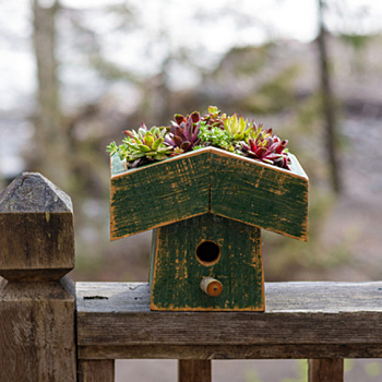 Идеи для контейнерных садов и огородов на небольшом участке