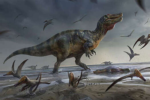 Найдены останки крупнейшего хищного динозавра в Европе
