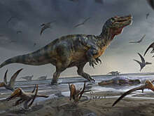 Ученые предположили, что тревожное поведение у человека развилось из-за динозавров