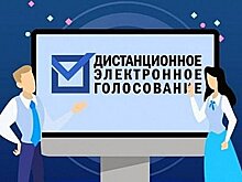 Дистанционное голосование тестируют в Хабаровском крае