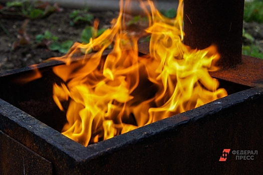 Под Петербургом сожгли наркотиков на 1 млрд рублей