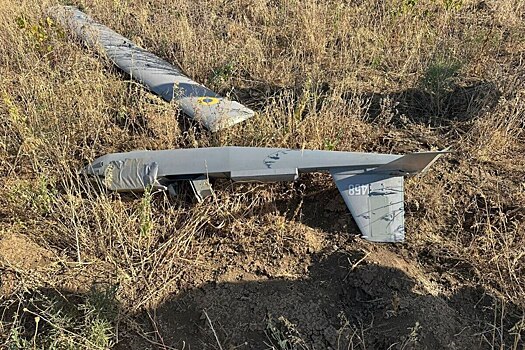 ВСУ вооружат беспилотными истребителями: эксперт оценил военное решение Зеленского