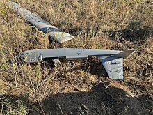 ВСУ вооружат беспилотными истребителями: эксперт оценил военное решение Зеленского