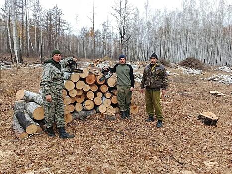 На Аргунском участке «Забайкаллесхоза» продолжается заготовка древесины