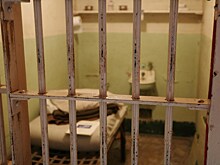 Российского чиновника задержали после обысков на работе и дома. Всё дело в пропавших «зубах дракона»