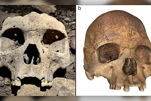 InfoFus: наложение лиц пропавших людей на найденные черепа ускорило опознание