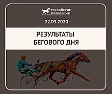 Отсутствие зрителей не помешало проведению заездов на Центральном Московском ипподроме в САО
