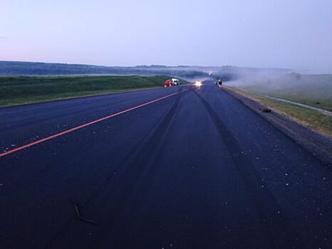 Лоб в лоб: на трассе М-2 «Крым» столкнулись Mercedes-Benz и Scania