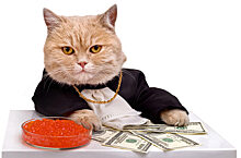 Итальянский кот разбогател на 30 тысяч евро