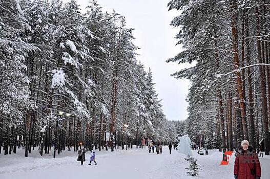 Глава СКР взял на контроль стройку в Челябинском городском бору
