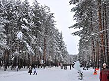Глава СКР взял на контроль стройку в Челябинском городском бору