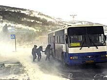 Власти еще одного региона ввели QR-коды на транспорте