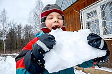 Новосибирской области рекомендовали сделать ставку на сельский туризм