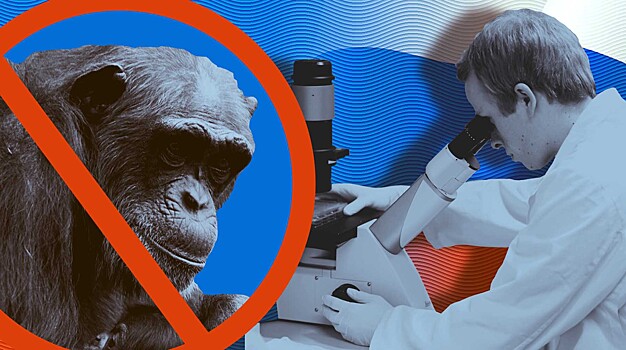 Вирусологи исключили распространение обезьяньей оспы в России