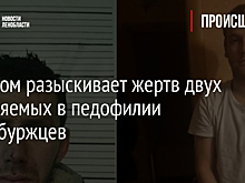 Следком разыскивает жертв двух обвиняемых в педофилии петербуржцев