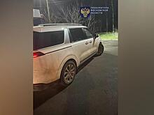 Сбившая насмерть 2-летнюю дочь жительница Подмосковья забыла посадить ее в машину