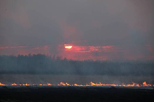 Глава МЧС рассказал о борьбе с природными пожарами в Курганской области