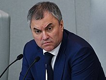 Володин раскритиковал действия США на Ближнем Востоке