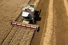 "Русагротранс": РФ вывезла за границу рекордные 59,3 млн тонн зерна в 2022-23 сельхозгоду