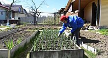 Садоводы Емельяновского района наметили планы на предстоящий дачный сезон