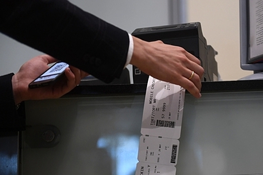 Названы сроки замены посадочных талонов штрих-кодами в российских аэропортах