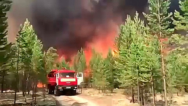 Поединок со стихией: как спасатели и волонтеры сражаются с пожарами в Сибири