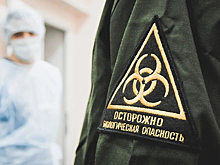 В Омской области два населенных пункта закроют на карантин из-за вспышек бешенства