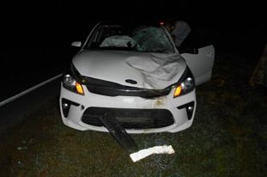 Под Ярославлем на трассе М-8 женщина на KIA Rio сбила лося