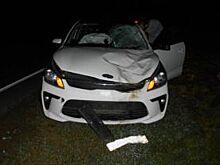 Под Ярославлем на трассе М-8 женщина на KIA Rio сбила лося