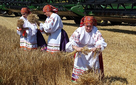 В Сараевском районе отметили День первого снопа