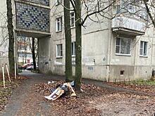 Маслов ответил на острые вопросы по благоустройству Курска