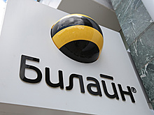 В Краснодаре сотрудников «Билайна» уволили за фото с нацистским приветствием