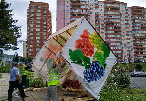 Новый замглавы Владивостока начинает с ларьков