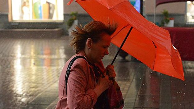 Москвичей предупредили о грозе с дождем и усилении ветра в ближайшие часы