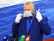 Туристы проголосовали против предложения Жириновского закрыть границы
