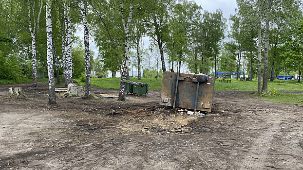 Нижегородца задержали за сброс мусора в Гнилицах