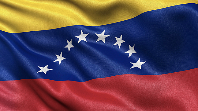 В Венесуэле задержали 19 чиновников по подозрению в коррупции