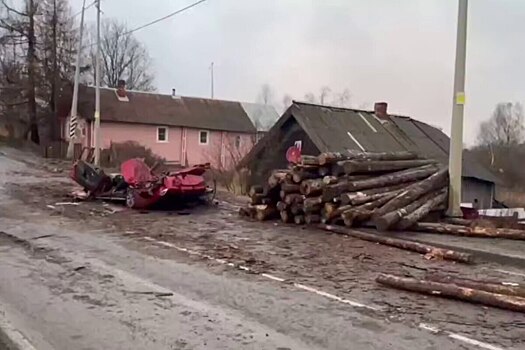 Вылетевшие бревна раздавили легковушку с водителем в Карелии