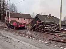 Вылетевшие бревна раздавили легковушку с водителем в Карелии