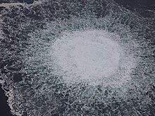 В Германии предупредили Киев о проблеме после взрывов на «Северных потоках»