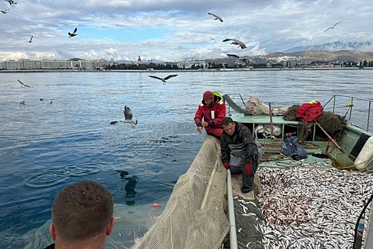 В Сочи начался сезон ловли барабули