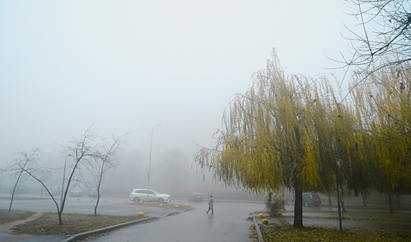 Волгоградцы обсуждают атаку БПЛА, воровство электроэнергии и изменение маршрута автобуса 70а