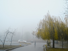 Волгоградцы обсуждают атаку БПЛА, воровство электроэнергии и изменение маршрута автобуса 70а