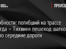 Подробности: погибший на трассе «Вологда – Тихвин» пешеход шатко брел по середине дороги