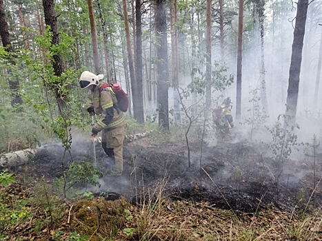 Авиацию и пожарный поезд привлекли к тушению пожара в Свердловской области