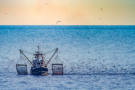 Почему РФ хочет расторгнуть договор с Британией о рыболовстве в Баренцевом море