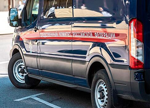 Около 20 детей отравились в подмосковной школе